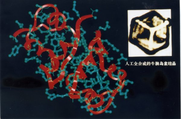 金盛网 机密代号“601”的项目，上海这家不满1岁研究所为何“挑大梁”？