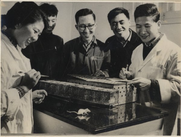 智云理财 获得国家机密研究代号“601”，这一项目的突破60年前震惊世界